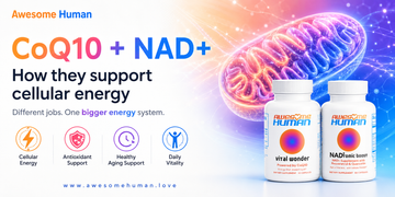Vital Wonder CoQ10 and NADtomic Boost bottles beside a mitochondrion graphic